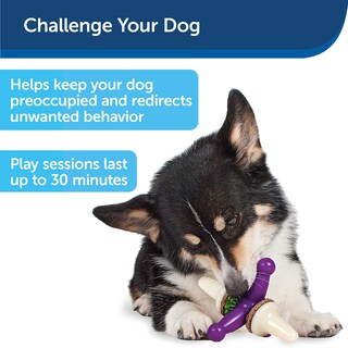 Foto 4 | Juguete Para Perros Petsafe Busy Buddy Treat Holding Jack Para Perros Pequeños - Venta Internacional.