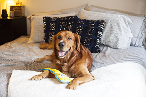 Foto 7 pulgar | Juguete Interactivo Para Perros Outward Hound Fire Biterz Gecko Plush - Venta Internacional.