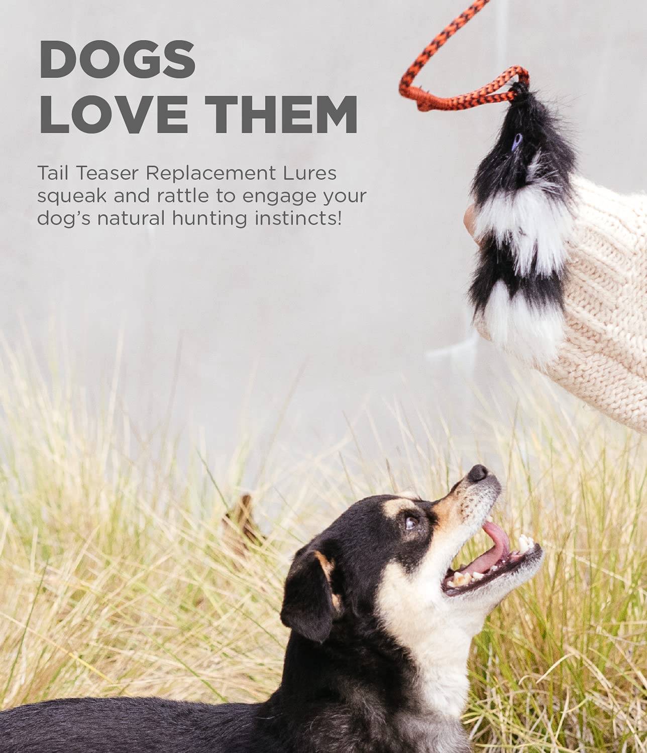 Foto 4 pulgar | Señuelo De Repuesto Para Dog Teaser Wand Outward Hound Tail Teaser - Venta Internacional.