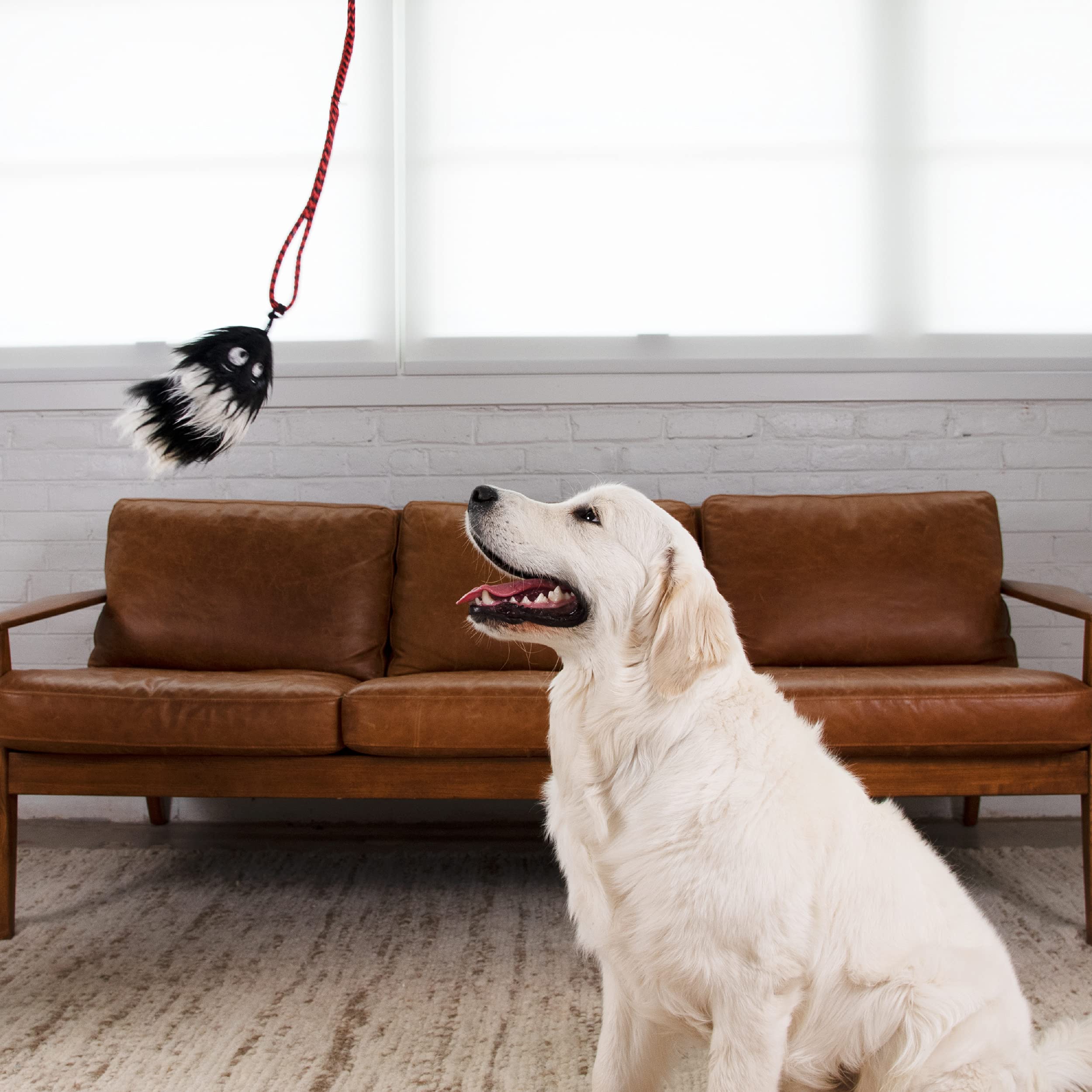 Foto 7 pulgar | Señuelo De Repuesto Para Dog Teaser Wand Outward Hound Tail Teaser - Venta Internacional.