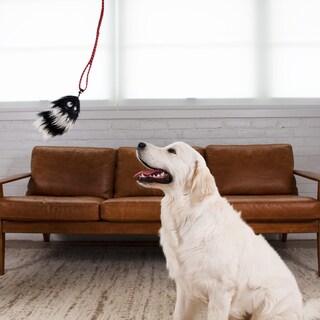 Foto 6 | Señuelo De Repuesto Para Dog Teaser Wand Outward Hound Tail Teaser - Venta Internacional.