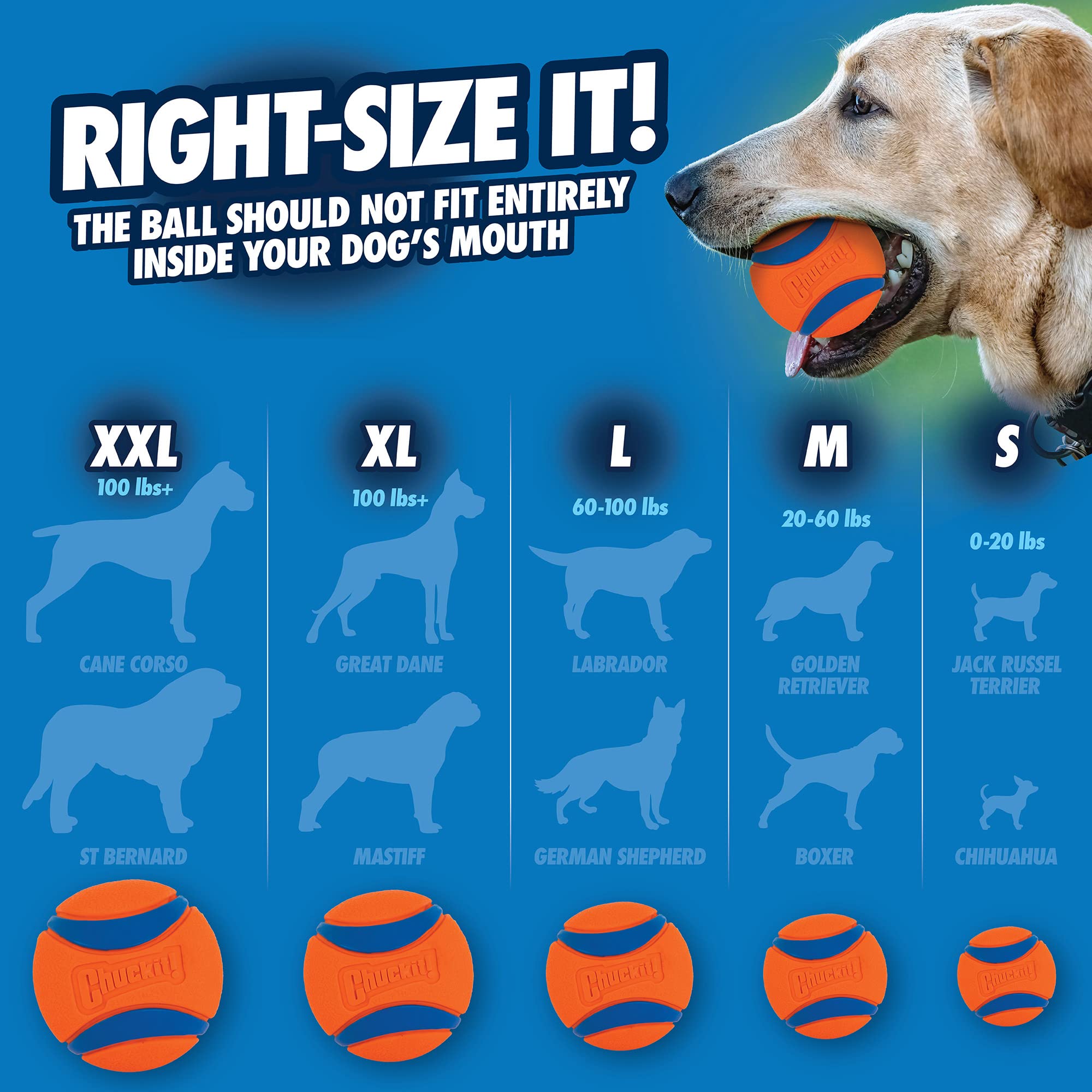 Foto 5 pulgar | Juguete Para Perros Chuckit! Ultra Ball Medium Para Razas De 9 A 27 Kg - Venta Internacional.