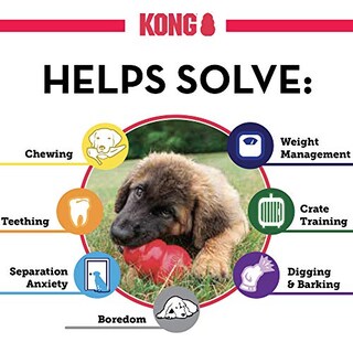 Foto 5 | Juguete Masticable Kong Classic And Wild Knots Bear Para Perros Medianos - Venta Internacional.