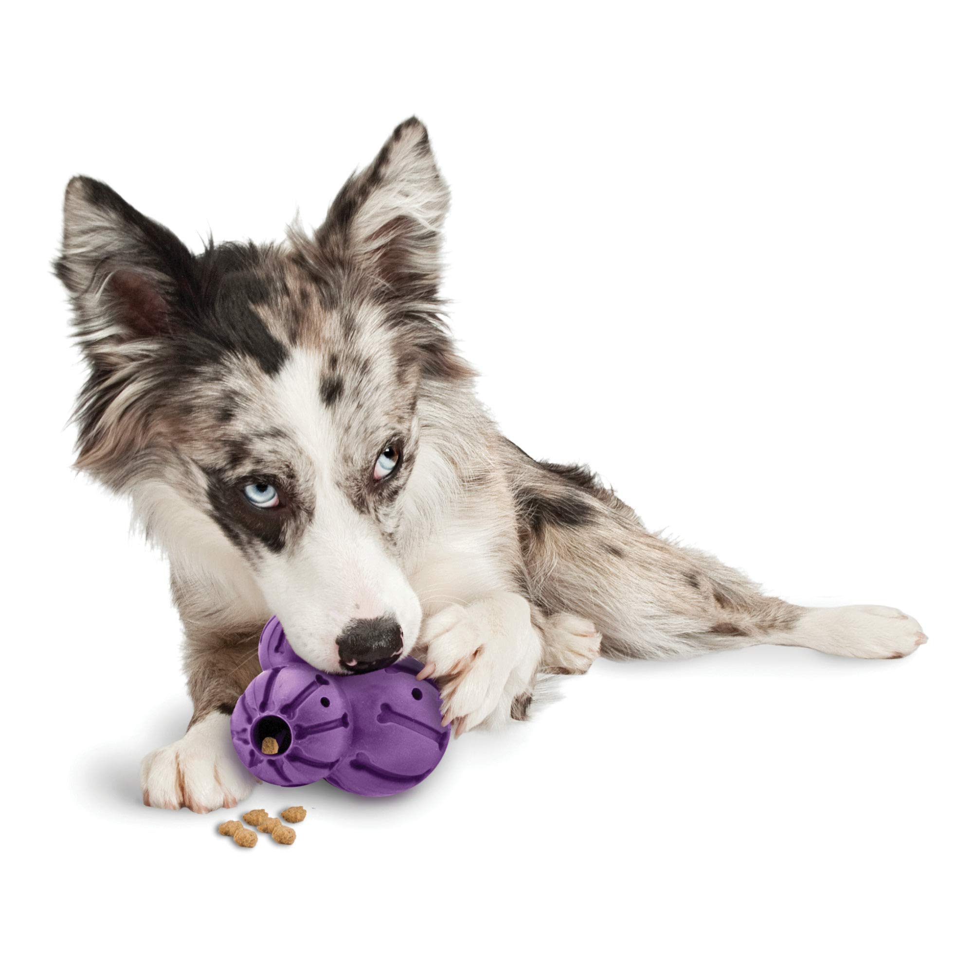 Foto 1 | Juguete Masticable Para Perros Petsafe Busy Buddy, Dispensador De Golosinas Para Percebes - Venta Internacional.