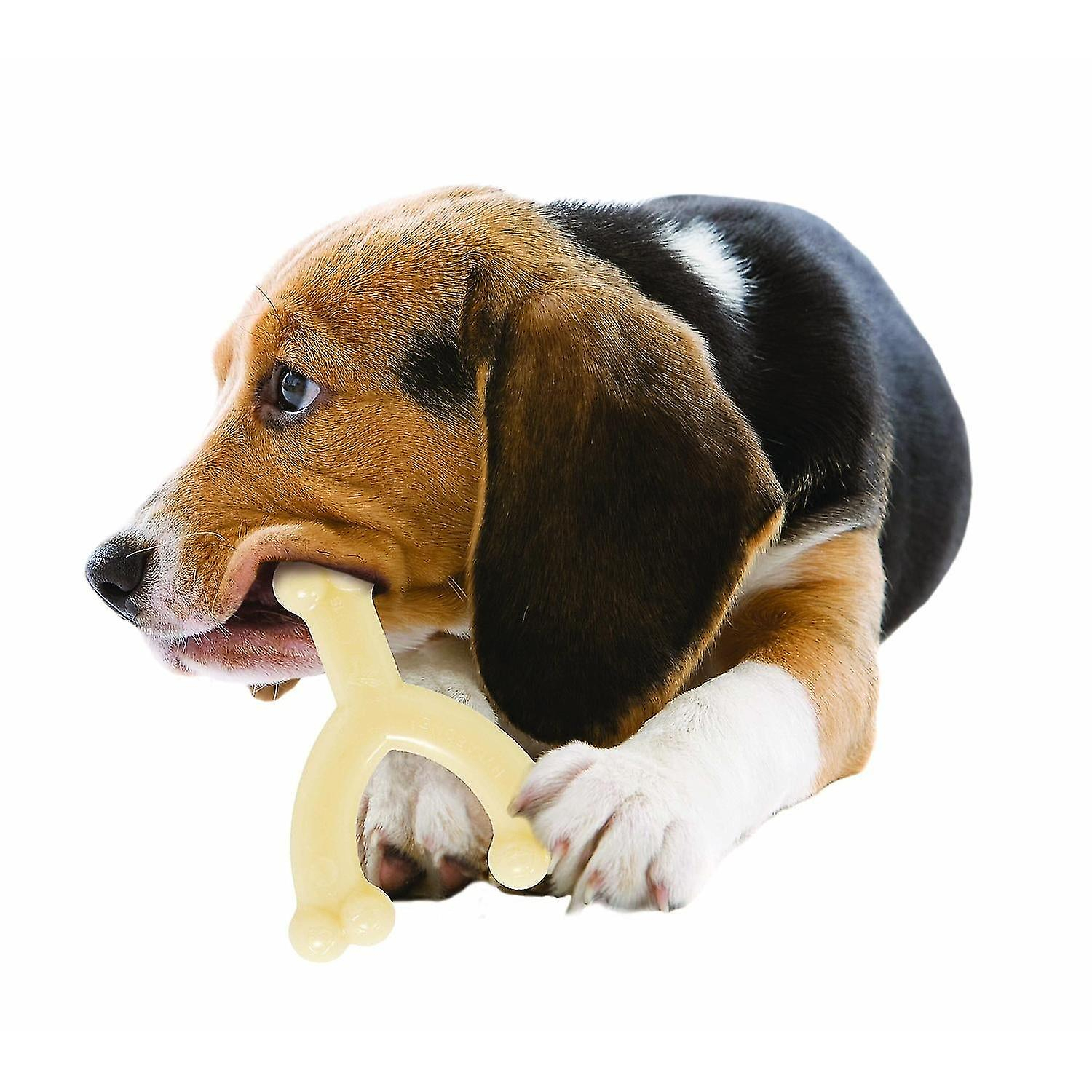 Foto 6 pulgar | Juguete Para Perros Huoguo Dura Chew Wishbone Para Poderosos Masticadores Wolf - Venta Internacional.