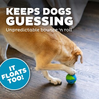 Foto 6 | Juguete Dispensador De Golosinas Outward Hound De Planet Dog - Venta Internacional.