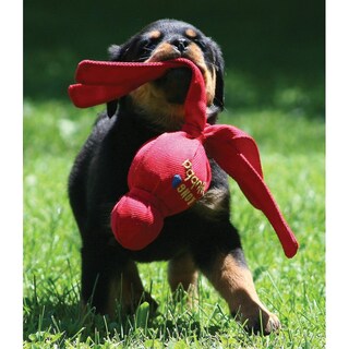 Foto 3 | Juguete Para Perros Huoguo Wubba, Tamaño Grande, Para Juegos De Tirar Y Tirar - Venta Internacional.