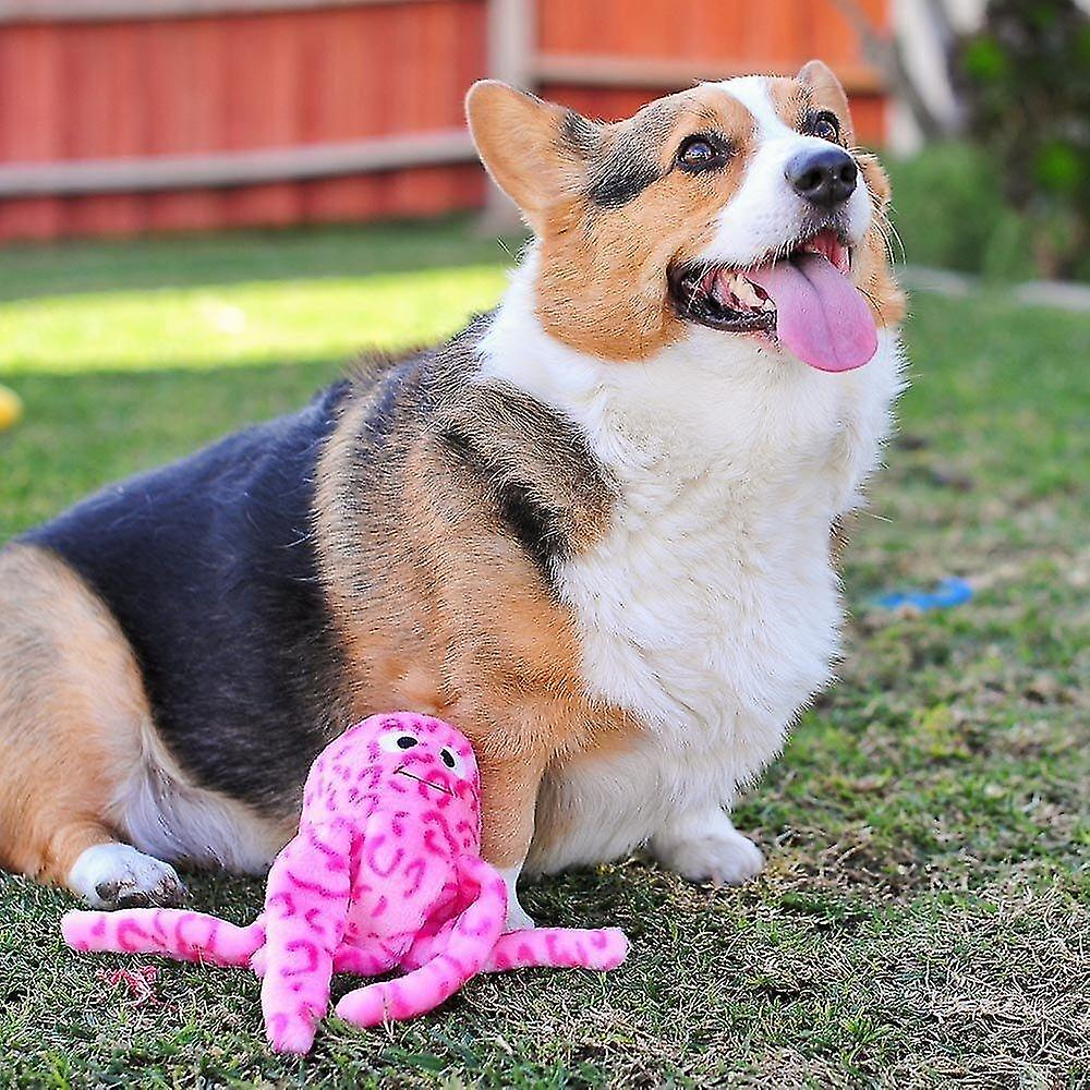 Foto 3 | Juguete De Peluche Para Perros, Floppy Jelly, Rosa Chirriante, Para Perros Pequeños Y Medianos - Venta Internacional.