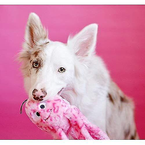 Foto 5 pulgar | Juguete De Peluche Para Perros, Floppy Jelly, Rosa Chirriante, Para Perros Pequeños Y Medianos - Venta Internacional.