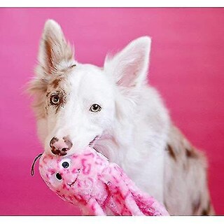 Foto 4 | Juguete De Peluche Para Perros, Floppy Jelly, Rosa Chirriante, Para Perros Pequeños Y Medianos - Venta Internacional.