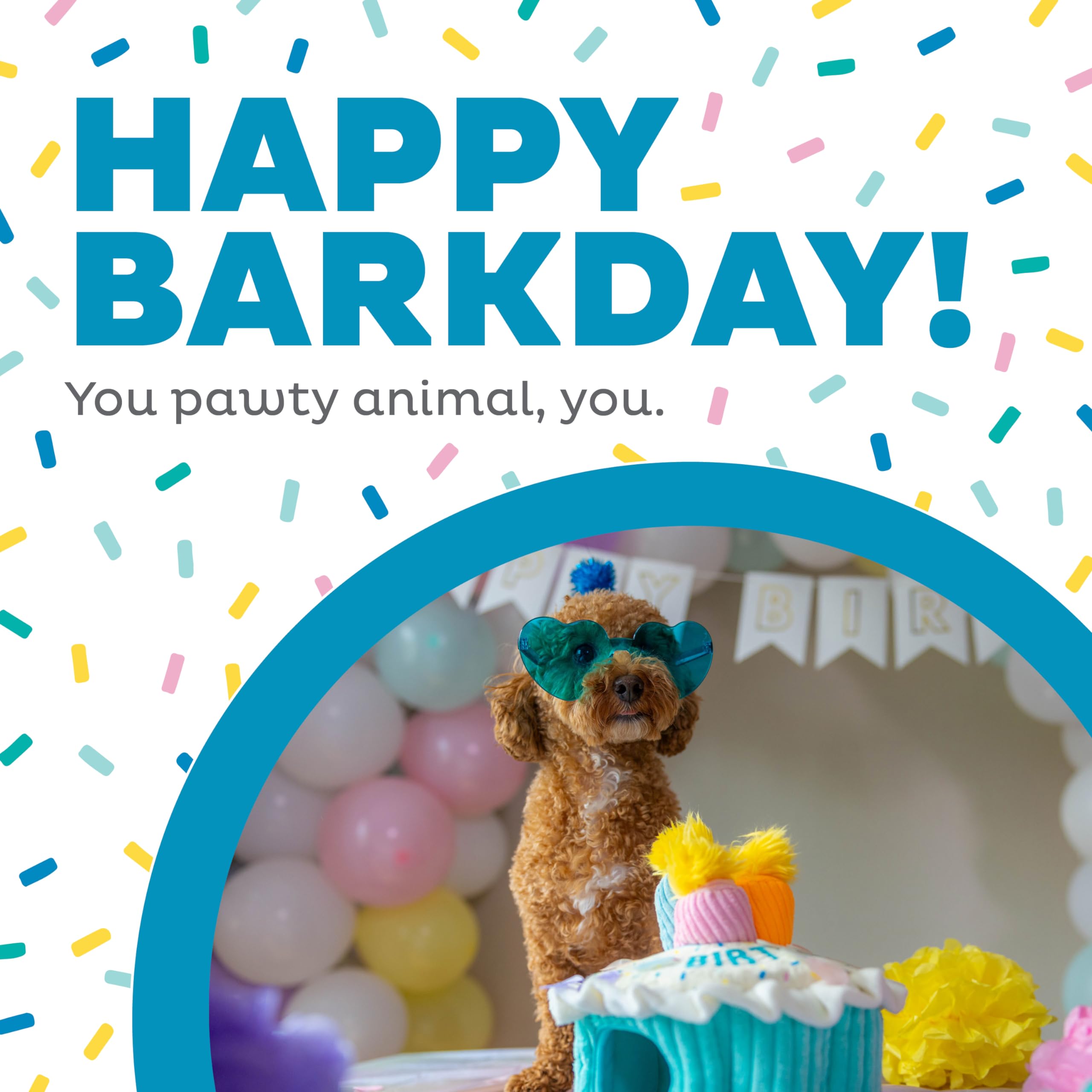 Foto 2 | Puzle De Peluche Con Temática De Cumpleaños Para Perros Outward Hound - Venta Internacional.