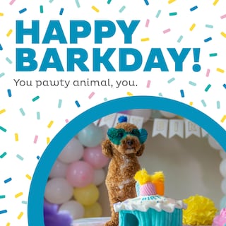Foto 2 | Puzle De Peluche Con Temática De Cumpleaños Para Perros Outward Hound - Venta Internacional.