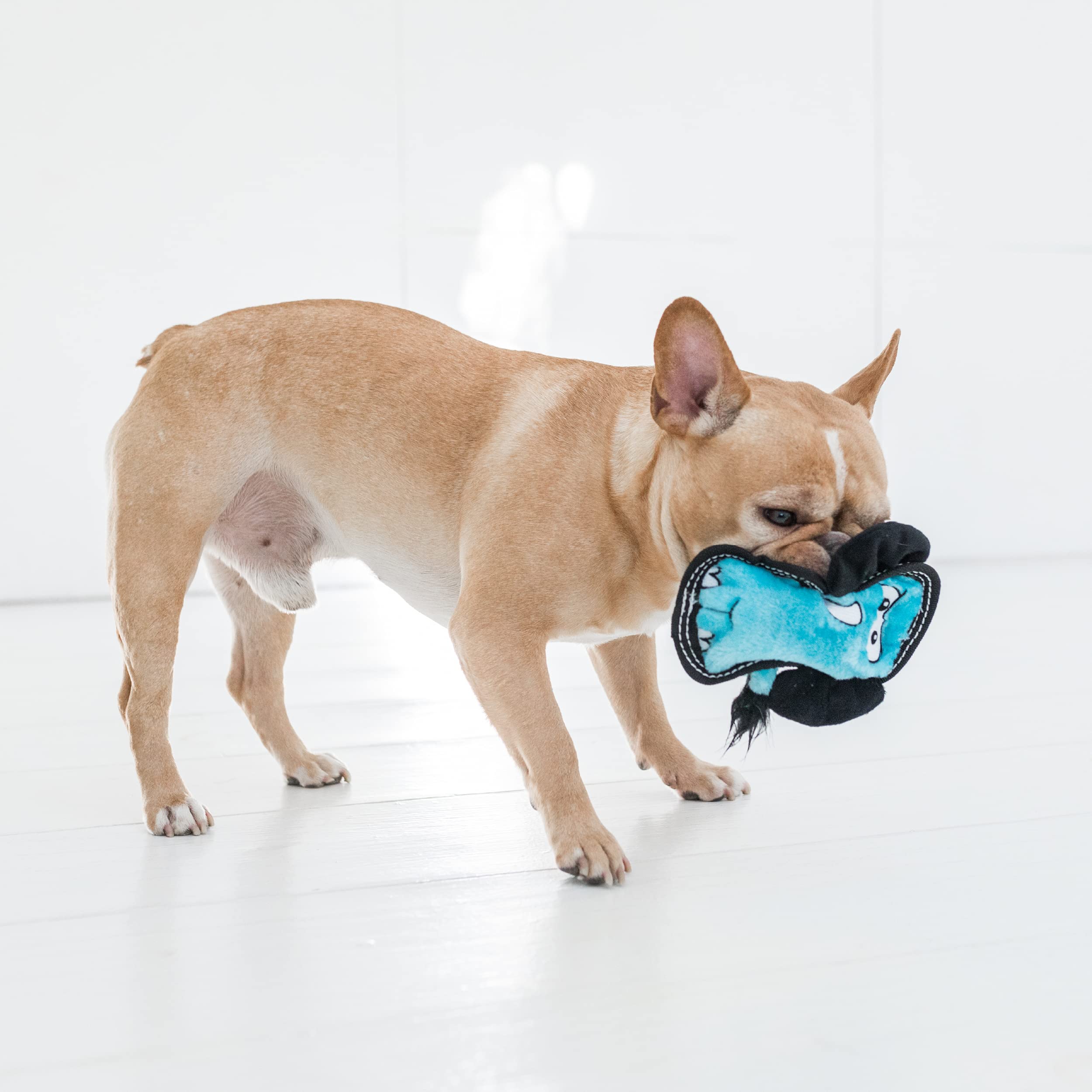 Foto 6 pulgar | Juguete De Peluche Para Perros Outward Hound Tough Seamz Elephant Small - Venta Internacional.