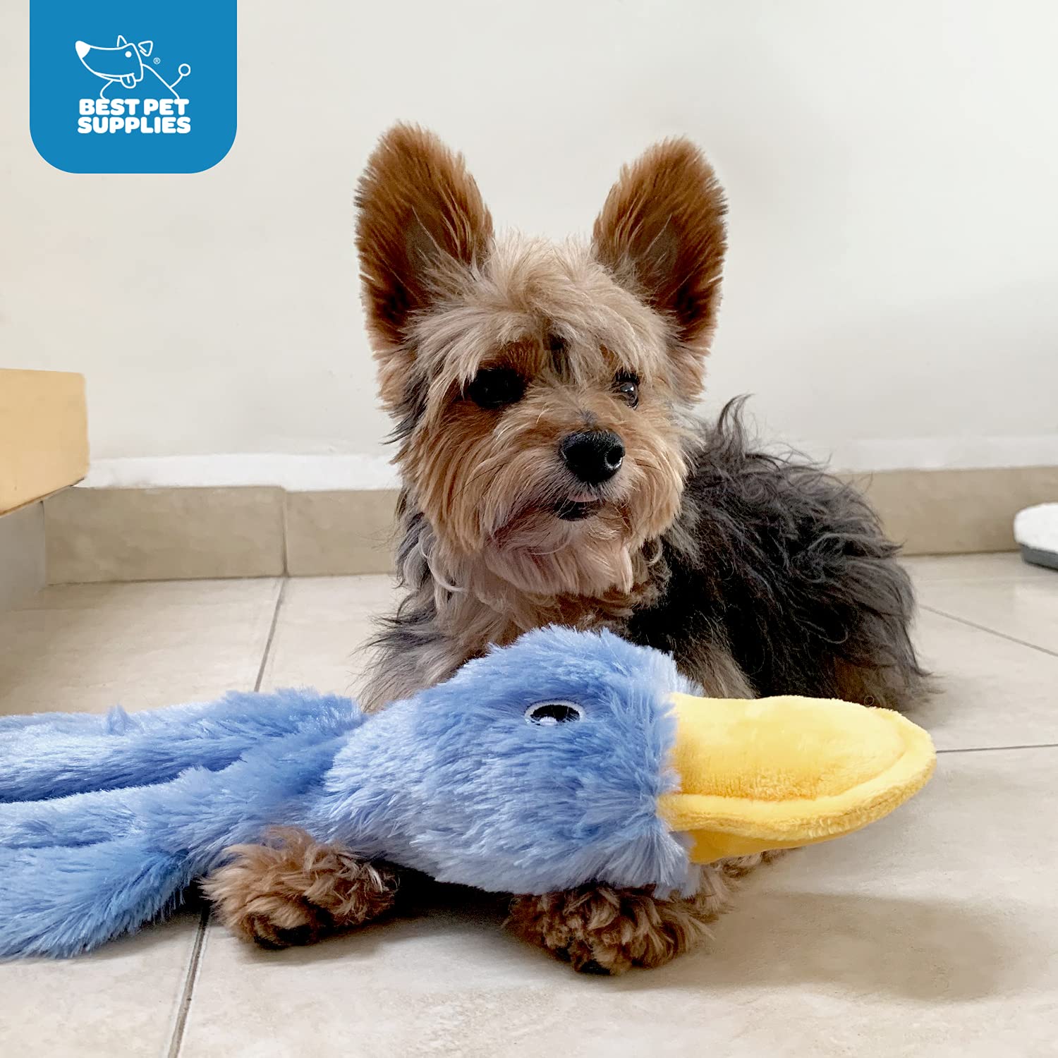 Foto 6 pulgar | Juguete Arrugado Para Perros Best Pet Supplies, Pato, Para Todas Las Razas, Azul - Venta Internacional.