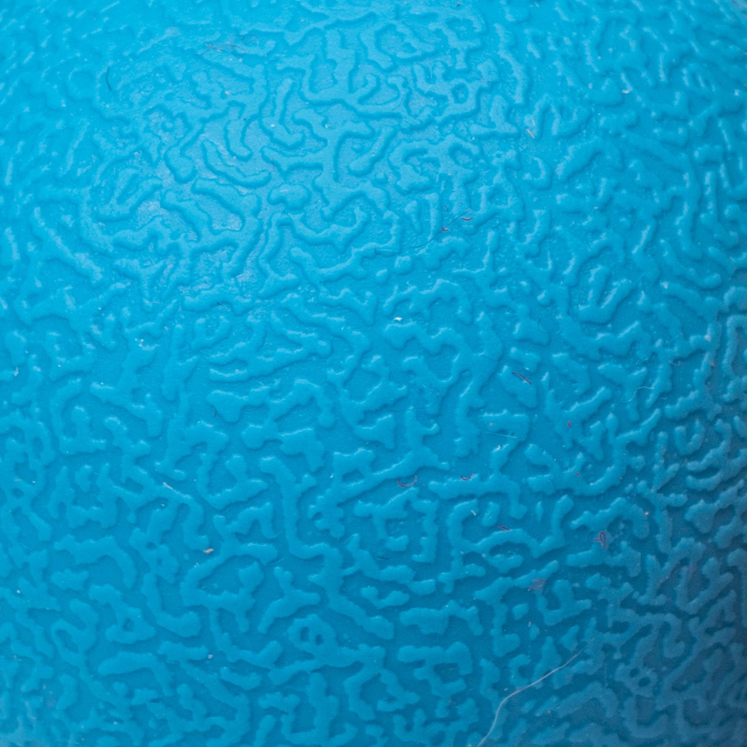 Foto 6 pulgar | Pelotas Para Perros Squeaker Toy Amazon Basics, 3 Pulgadas, 2 Unidades, Azul Y Naranja - Venta Internacional.