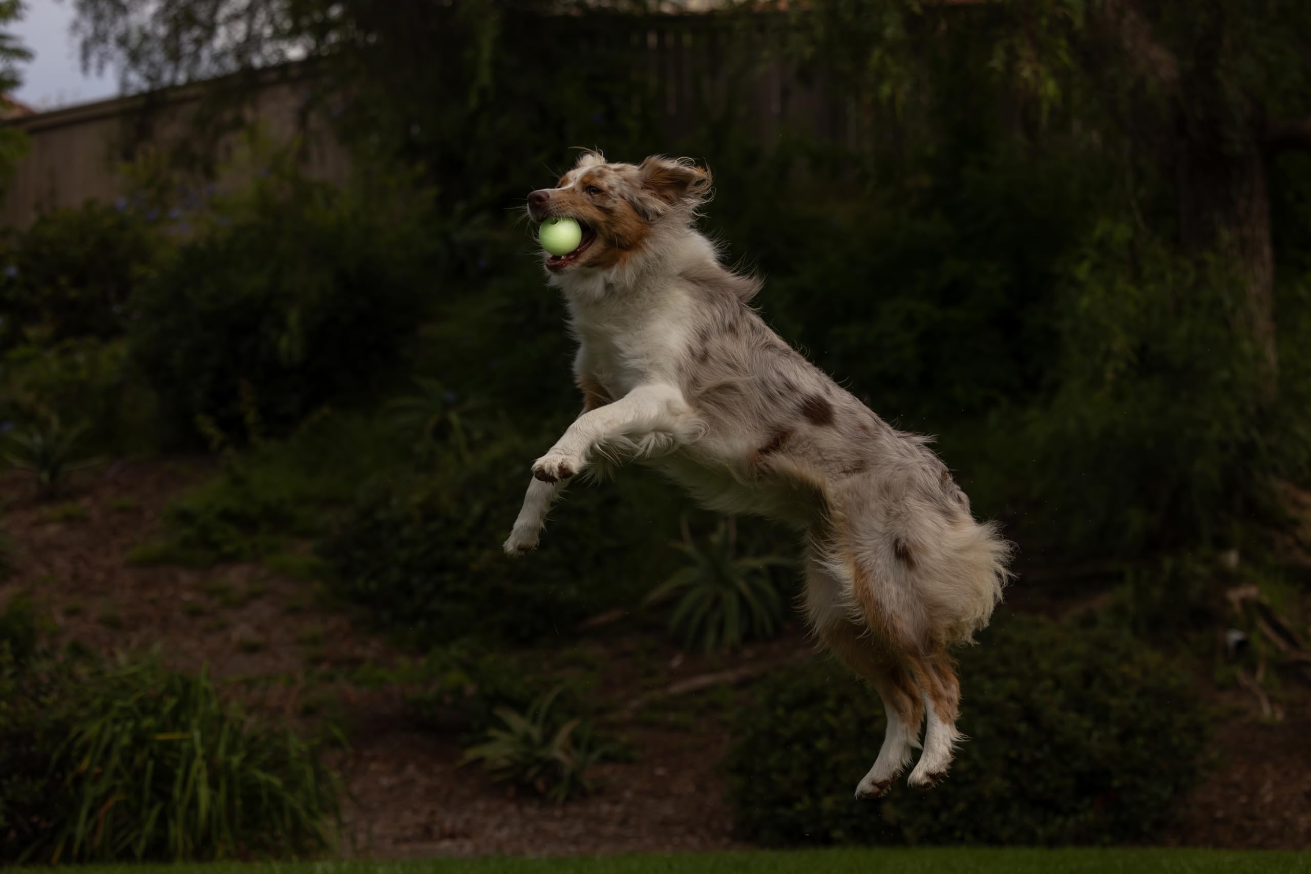 Foto 5 | Juguete Para Perros Chuckit Max Glow Ball, Tamaño Mediano, Para Perros De 9 A 27 Kg, Paquete De 21 - Venta Internacion