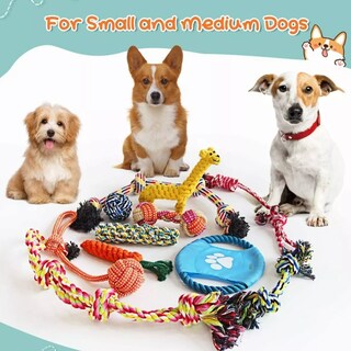 Foto 3 | Set Juguetes De Cuerda Para Perro Morder 10pz Eo Safe Imports Esi-7860-1 Multicolor