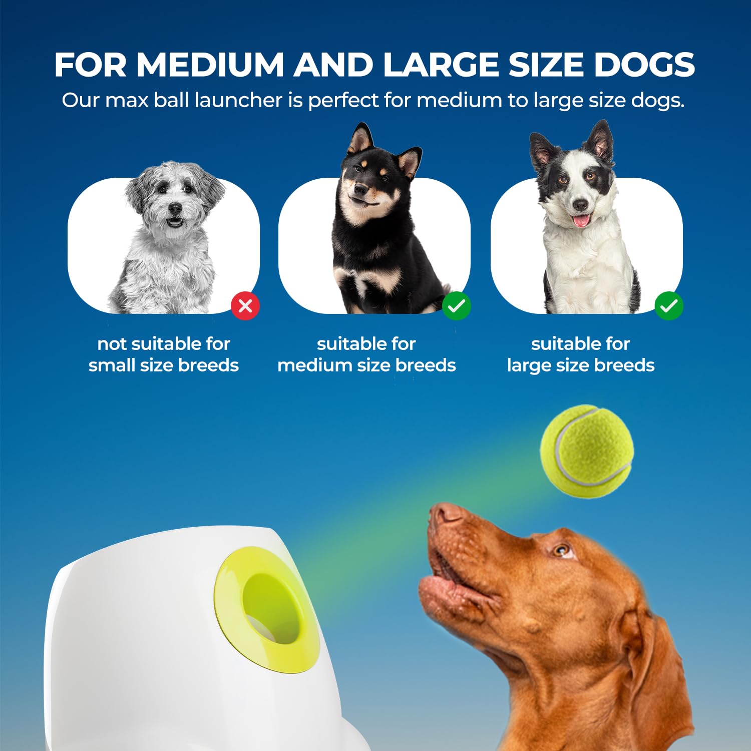 Foto 6 pulgar | Lanzador Automático De Pelotas Para Perros, Todo Para Patas, Distancia Ajustable - Venta Internacional.