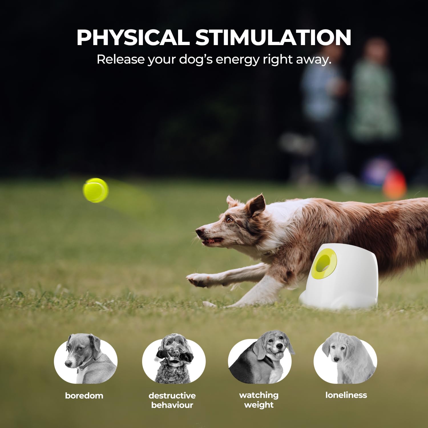 Foto 7 pulgar | Lanzador Automático De Pelotas Para Perros, Todo Para Patas, Distancia Ajustable - Venta Internacional.