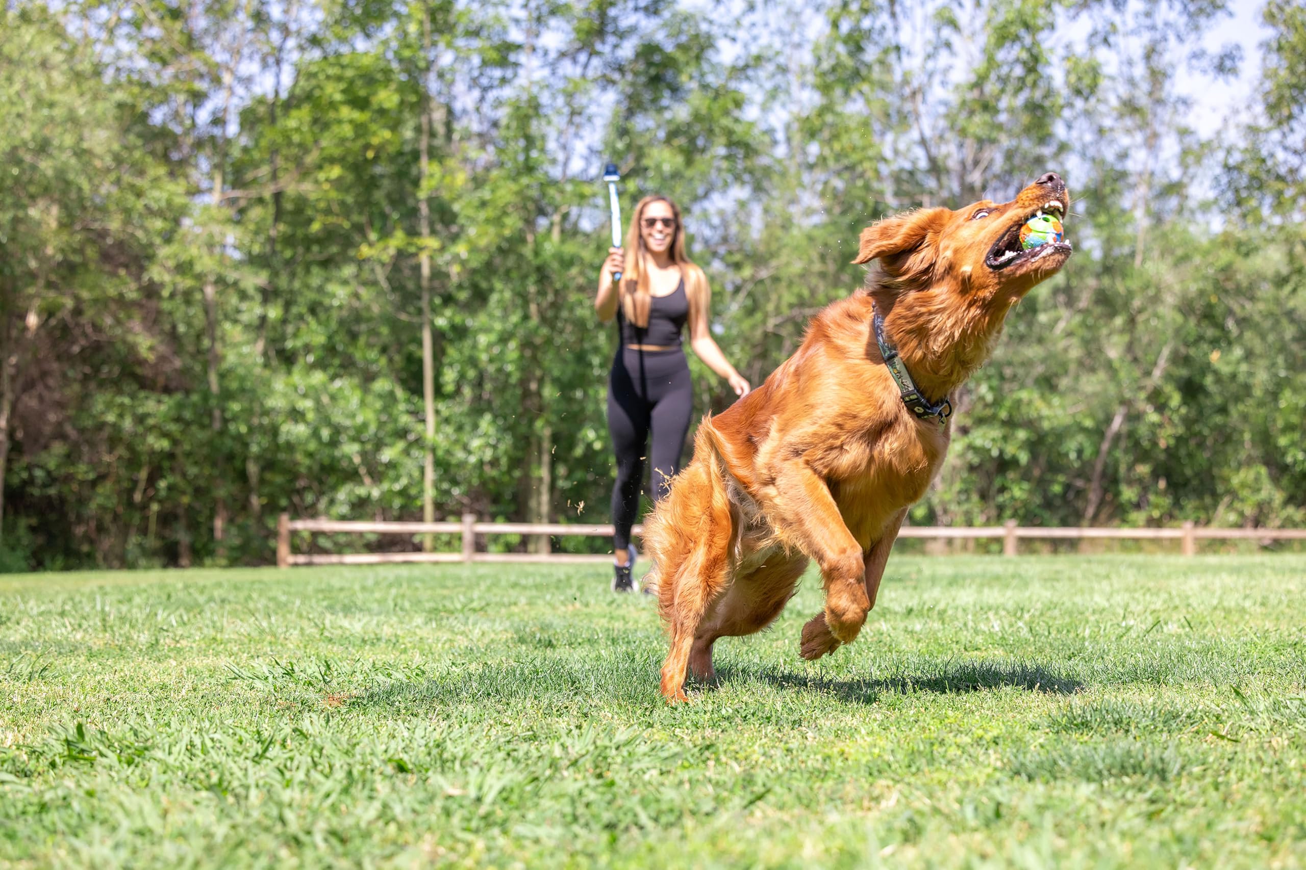 Foto 5 pulgar | Lanzador De Pelotas Para Perros Chuckit! Ecofetch Medium Para Perros De 20 A 60 Libras - Venta Internacional.