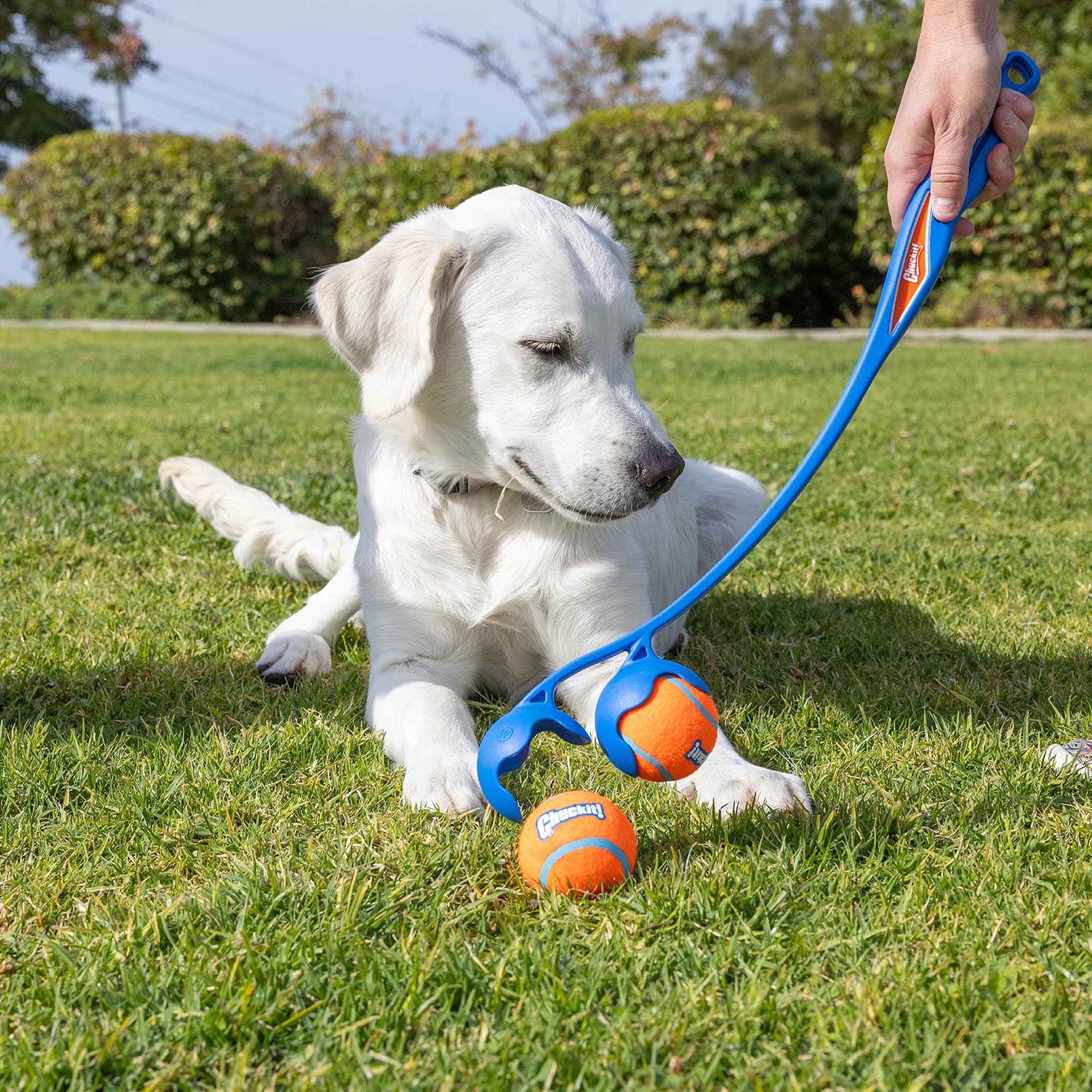 Foto 5 pulgar | Juguete Para Perros Chuckit! El Lanzador Doble Duo 22m Con 2 Pelotas De Tenis - Venta Internacional.