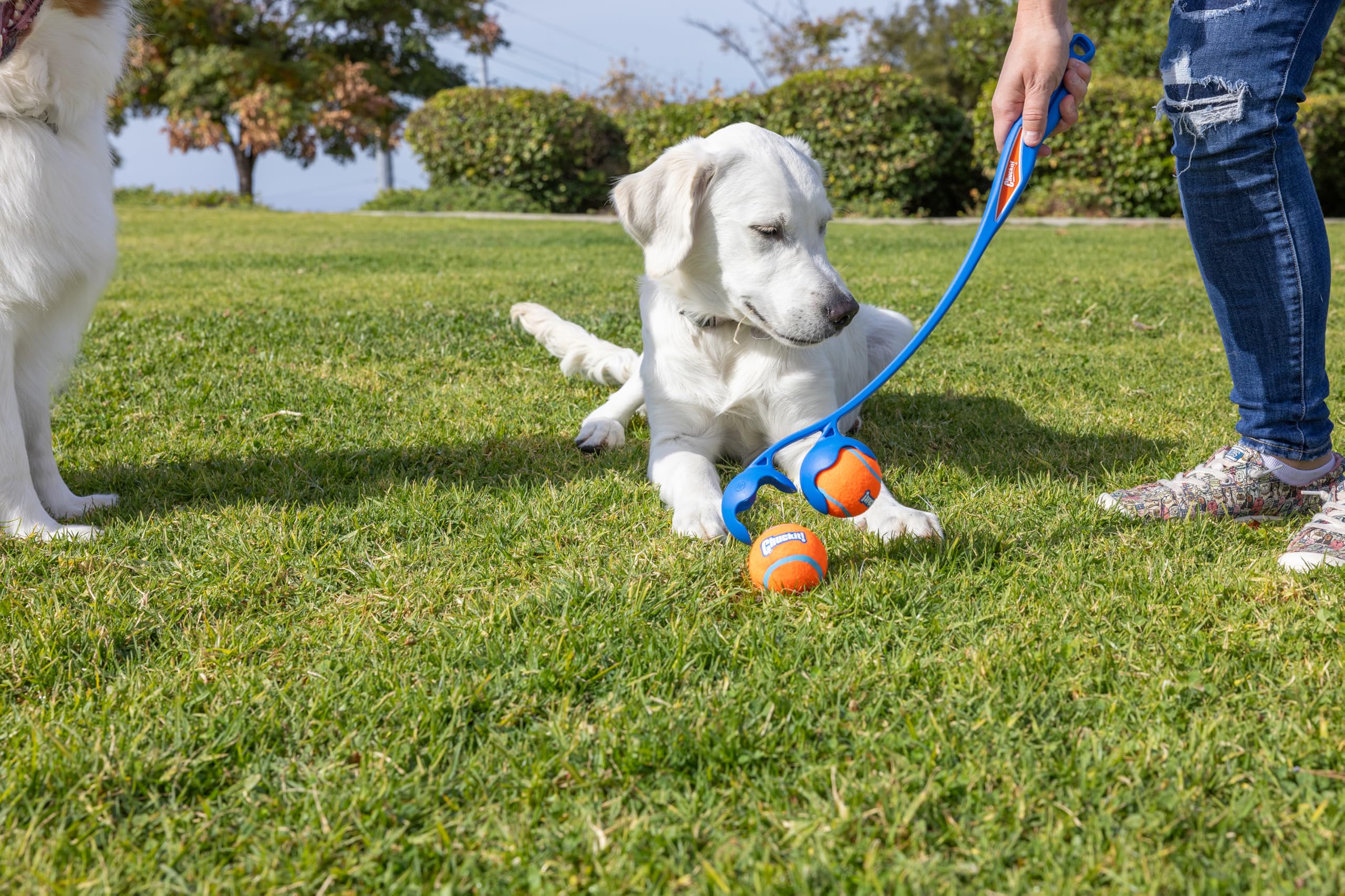 Foto 8 pulgar | Juguete Para Perros Chuckit! El Lanzador Doble Duo 22m Con 2 Pelotas De Tenis - Venta Internacional.