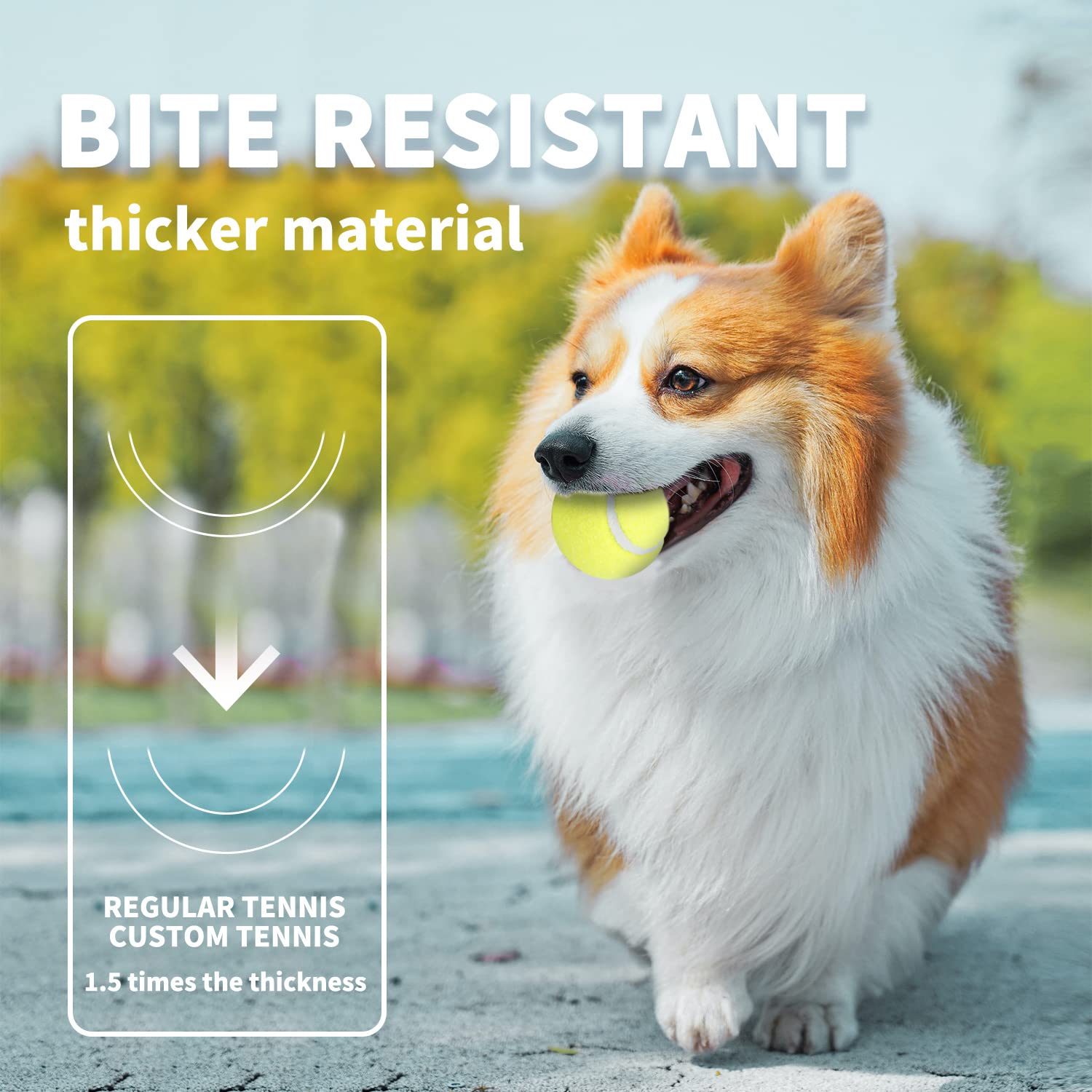 Foto 4 pulgar | Pelotas De Tenis Super Bounce Interactivas Para Perros All For Paws - Venta Internacional.