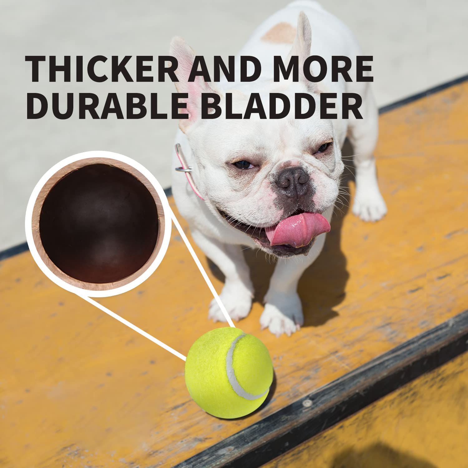 Foto 5 pulgar | Pelotas De Tenis Super Bounce Interactivas Para Perros All For Paws - Venta Internacional.