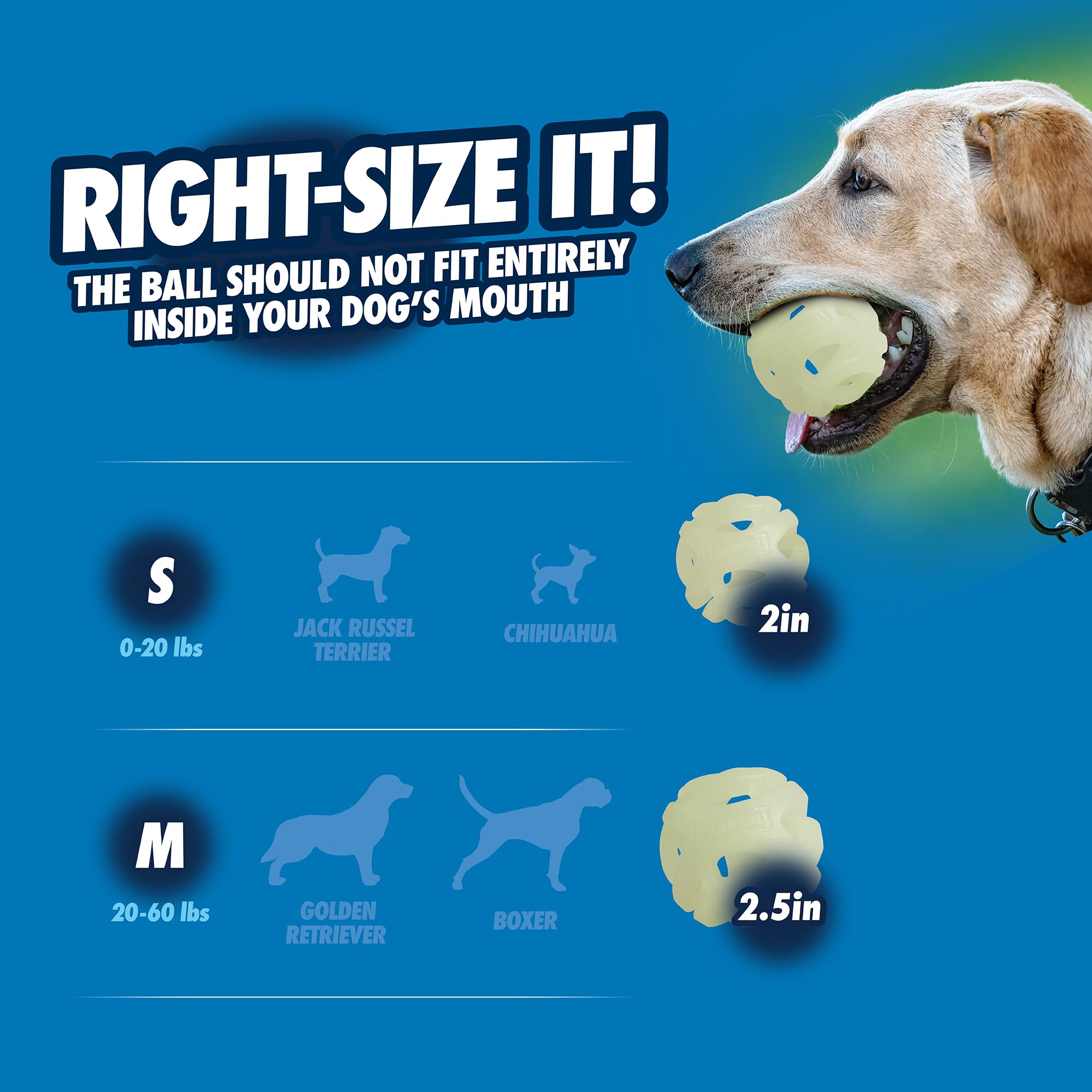 Foto 7 pulgar | Juguete Para Perros Chuckit! Air Glow Fetch Ball, Pequeña (5 Cm), Para Perros De 0 A 9 Kg - Venta Internacional.