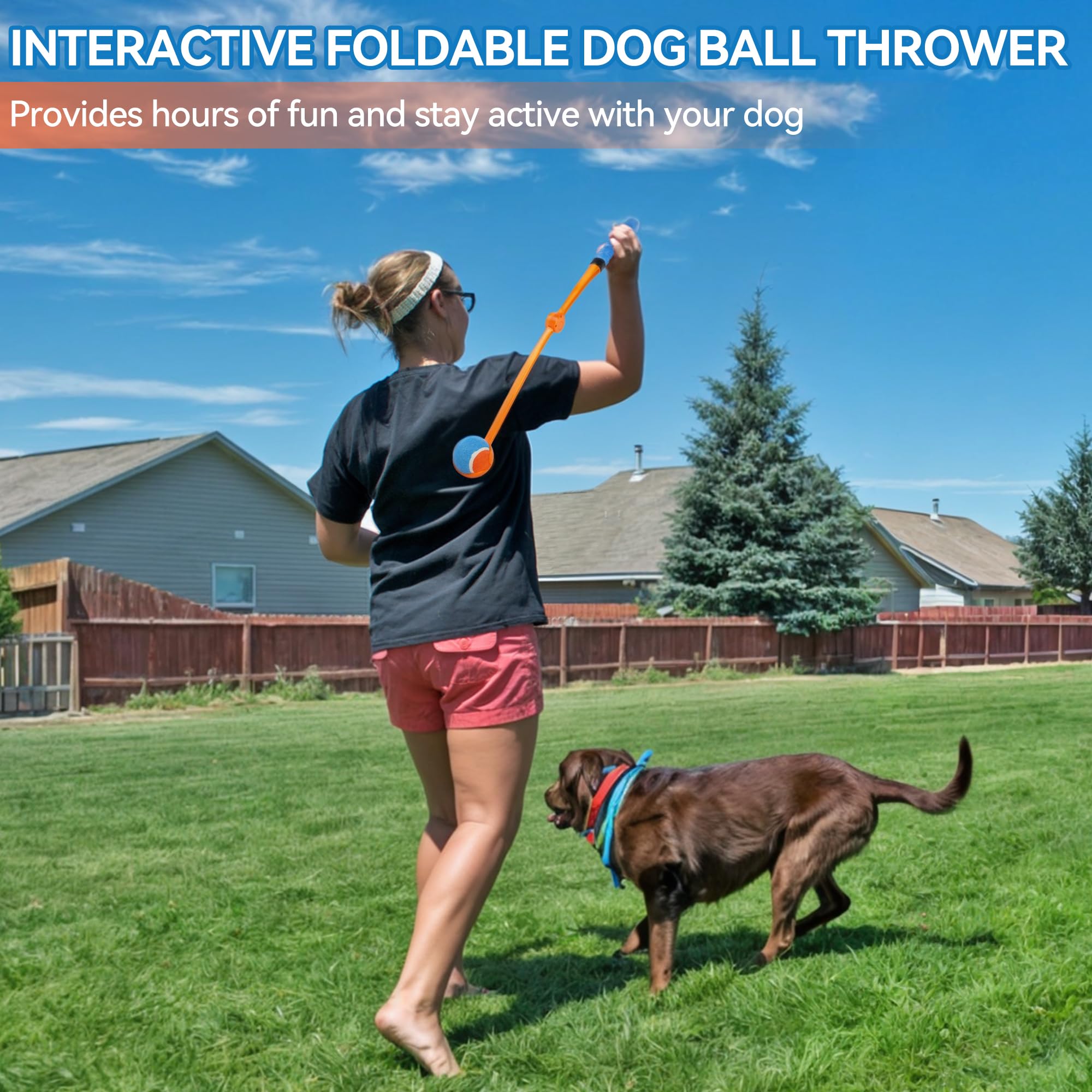 Foto 2 | Ball Launcher All For Paws De 25 Pulgadas Con Bola De 2.5 Pulgadas Para Perros - Venta Internacional.