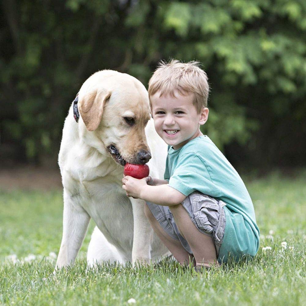 Foto 3 pulgar | Juguete Para Perros Kong Classic Fetch & Chew Stuffable Para Tamaño Extra Grande - Venta Internacional.