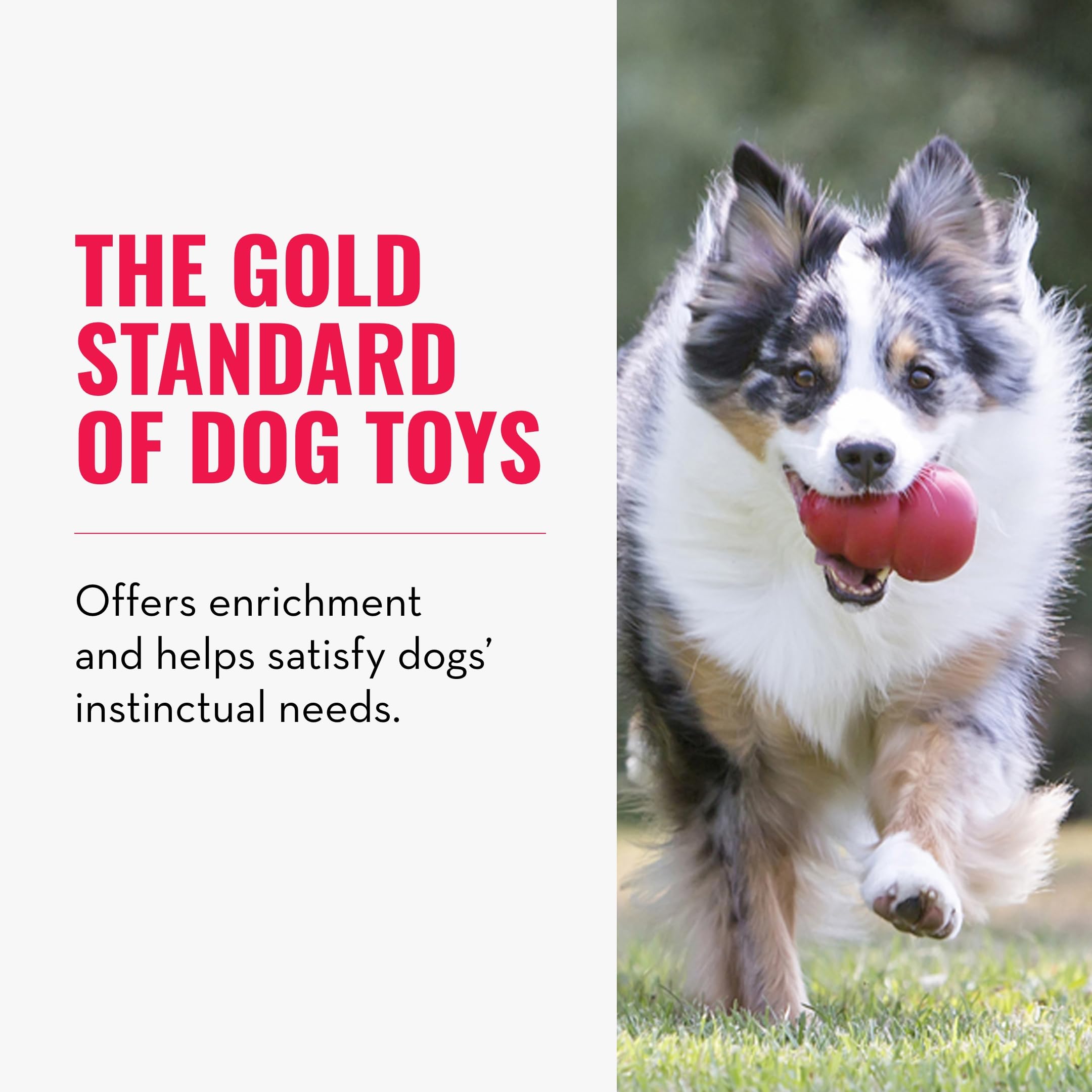 Foto 4 pulgar | Juguete Para Perros Kong Classic Fetch & Chew Stuffable Para Tamaño Extra Grande - Venta Internacional.