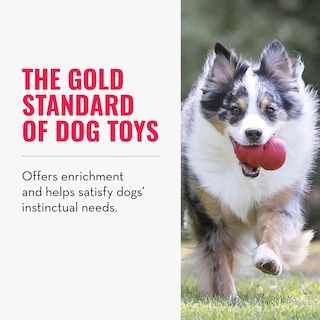 Foto 3 | Juguete Para Perros Kong Classic Fetch & Chew Stuffable Para Tamaño Extra Grande - Venta Internacional.