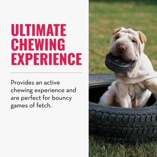 Foto 3 | Neumáticos Chew & Fetch Toy Kong Extreme Para Perros Pequeños - Venta Internacional.