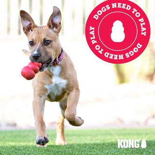 Foto 7 | Neumáticos Chew & Fetch Toy Kong Extreme Para Perros Pequeños - Venta Internacional.