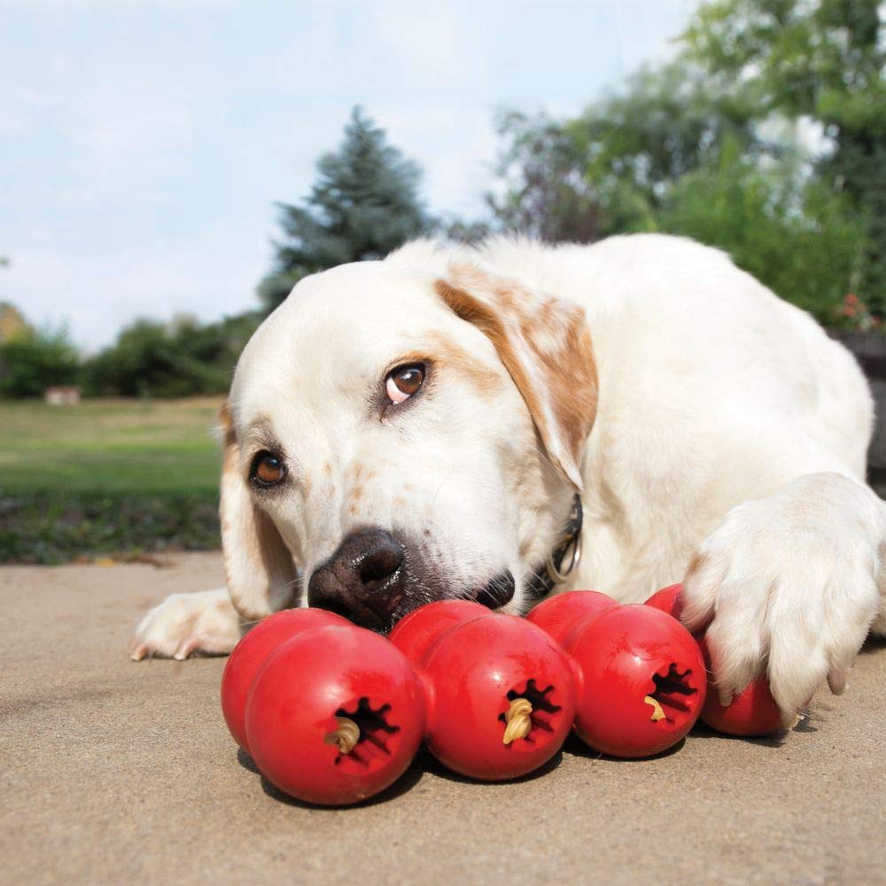 Foto 2 | Cinta Con Regalos Kong Goodie Para Perros, Rellenable, De Caucho Natural, Pequeña - Venta Internacional.