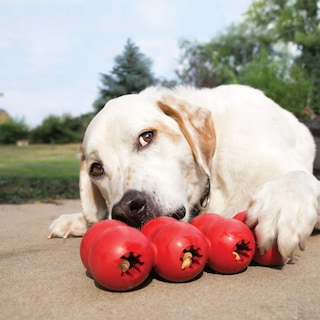Foto 2 | Cinta Con Regalos Kong Goodie Para Perros, Rellenable, De Caucho Natural, Pequeña - Venta Internacional.