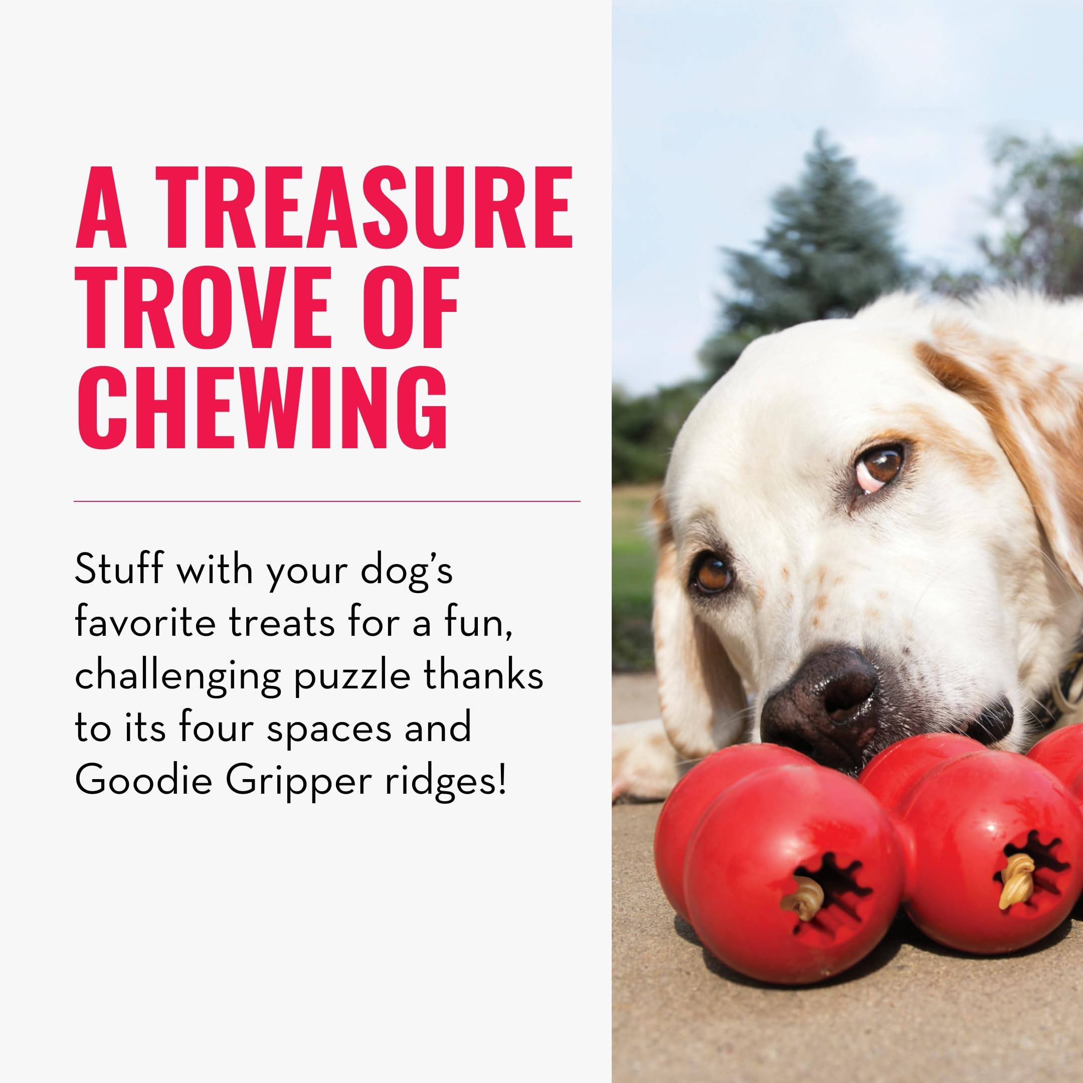 Foto 3 | Cinta Con Regalos Kong Goodie Para Perros, Rellenable, De Caucho Natural, Pequeña - Venta Internacional.