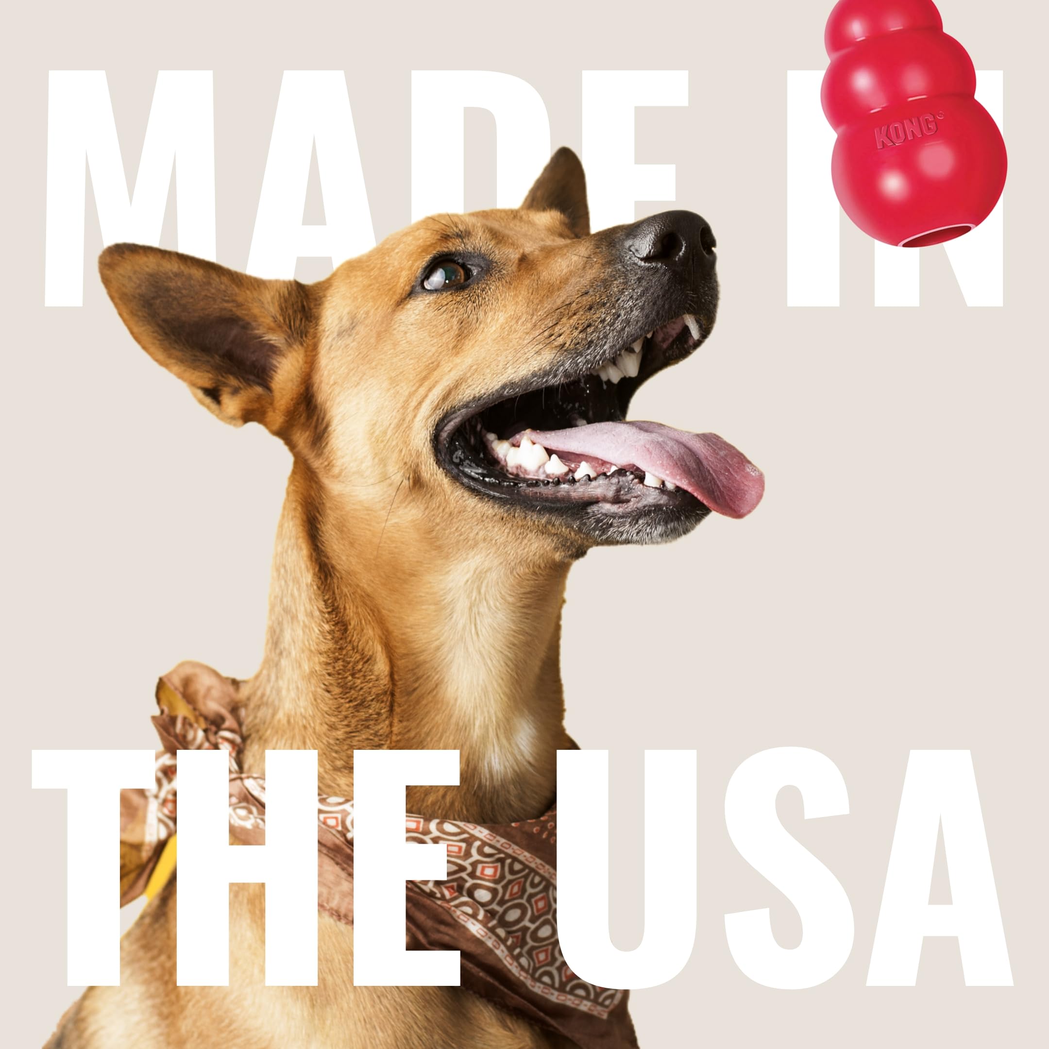 Foto 6 | Cinta Con Regalos Kong Goodie Para Perros, Rellenable, De Caucho Natural, Pequeña - Venta Internacional.