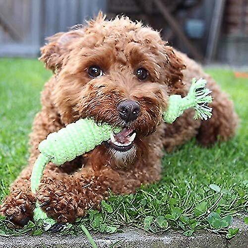 Foto 6 pulgar | Paquete De Juguetes Para Perros Huoguo Con Bola De Golosinas, Cuerda Masticable 100% Natural - Venta Internacional.