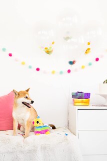 Foto 2 | Piñata Para Perros Con Forma De Piñata Con Forma De Piñata Para Perros - Venta Internacional.