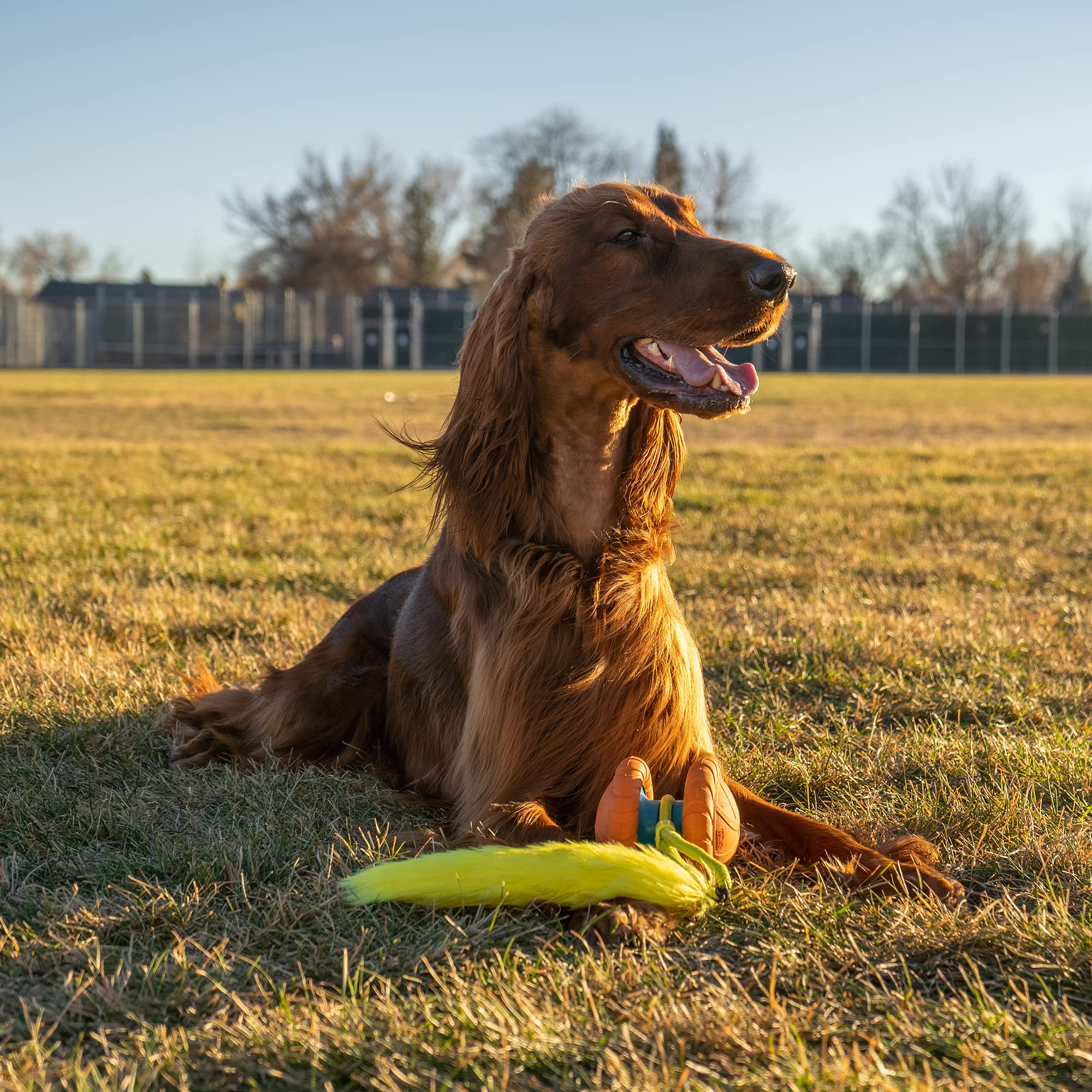 Foto 7 pulgar | Colas De Repuesto Para Tail Spinner Dog Chase Toy Outward Hound - Venta Internacional.