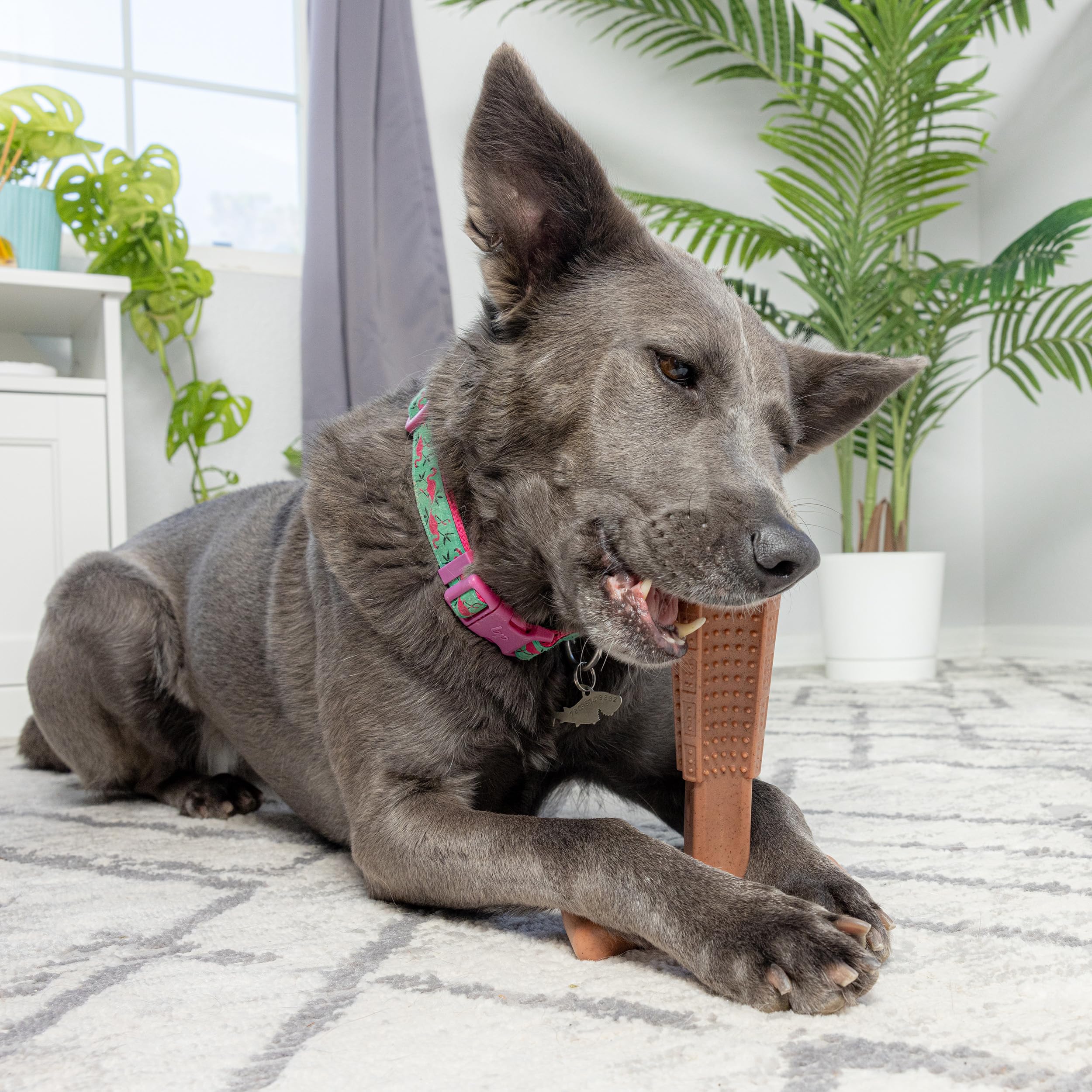 Foto 5 | Juguete Masticable Para Perros Spot Bam-bones Plus T Bone Para Masticadores Agresivos - Venta Internacional.