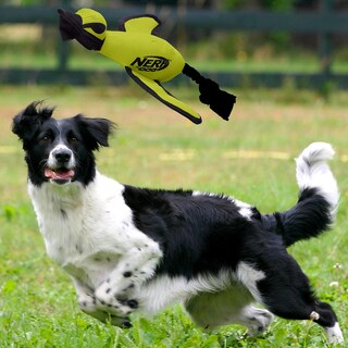 Foto 2 | Juguete Para Perros Nerf Dog, Tamaño Grande, De Nailon, Color Verde - Venta Internacional.