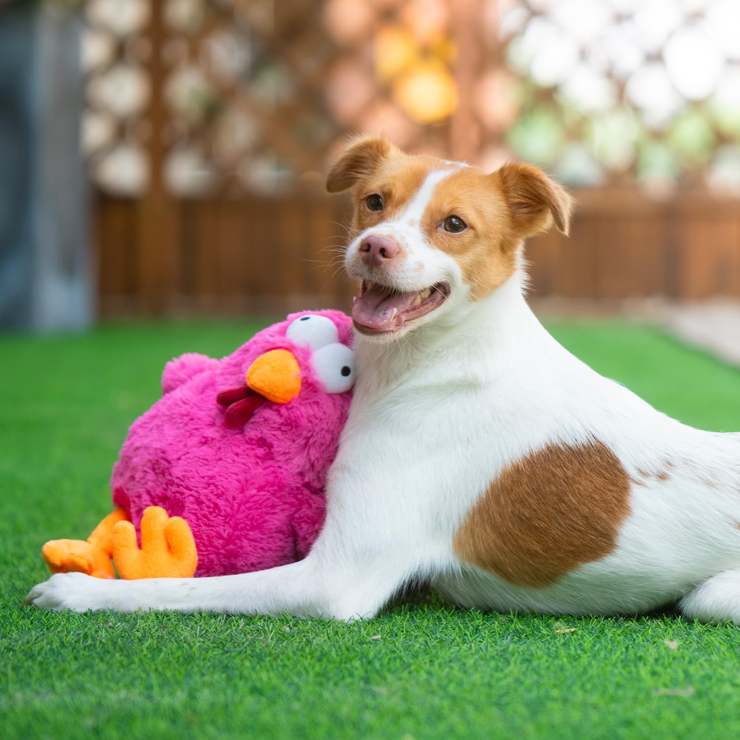 Foto 7 pulgar | Peluche Interactivo Squeaky Best Pet Supplies Mrs. Cluck - Venta Internacional.