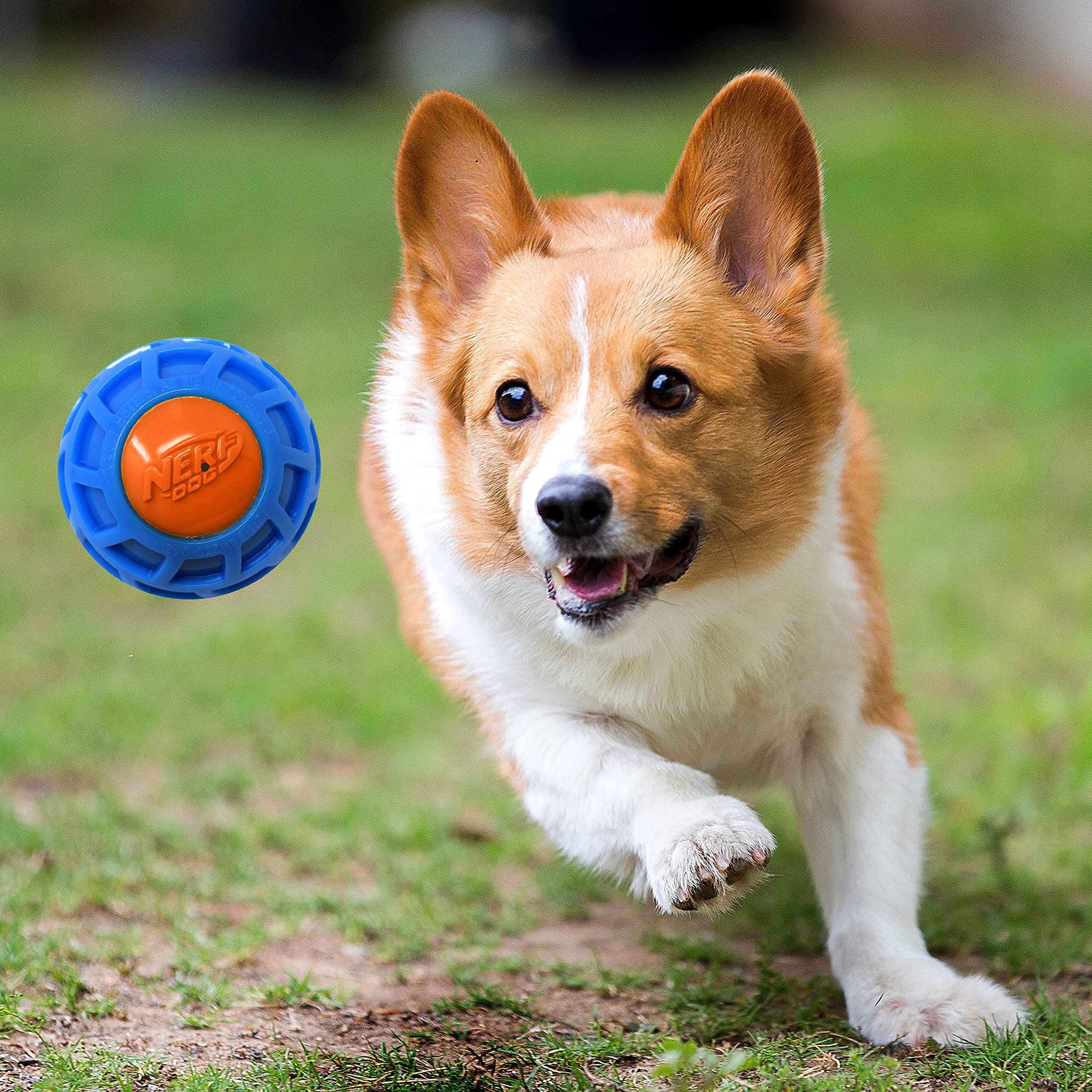 Foto 3 pulgar | Squeak Ball Nerf Dog Tpr Exo Azul/naranja 7,6 Cm - Venta Internacional.