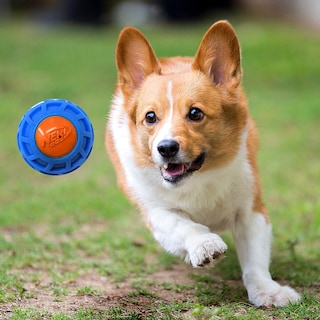 Foto 2 | Squeak Ball Nerf Dog Tpr Exo Azul/naranja 7,6 Cm - Venta Internacional.