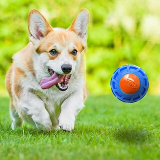Foto 4 | Squeak Ball Nerf Dog Tpr Exo Azul/naranja 7,6 Cm - Venta Internacional.