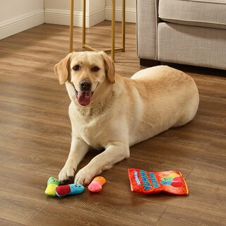 Foto 5 | Bolsa De Aperitivos Outward Hound Para Perros Yummy Worms Puzzle Squeaky - Venta Internacional.