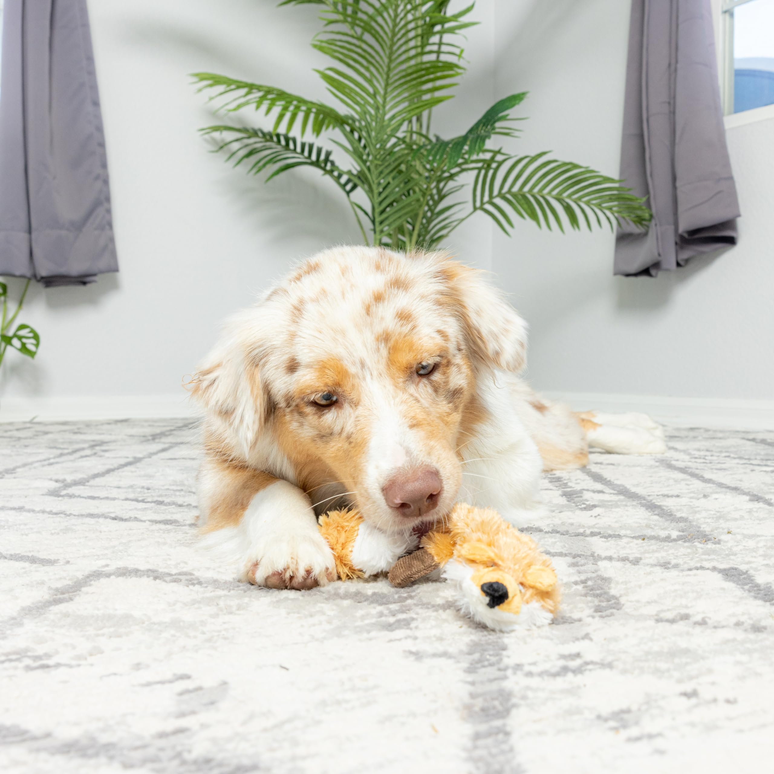 Foto 3 pulgar | Juguete Para Perros Spot Skinneeez Extreme Quilted Fox Durable 23 Pulgadas - Venta Internacional.